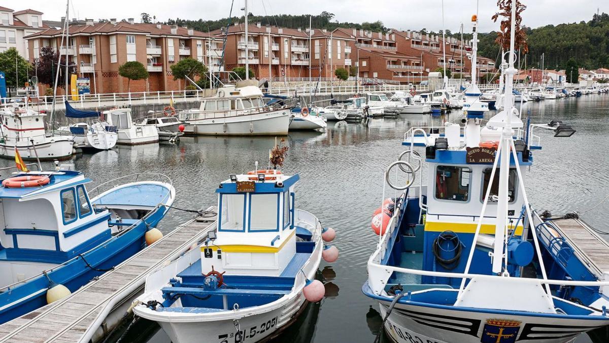 Embarcaciones amarradas en el puerto de La Arena. | P. S.