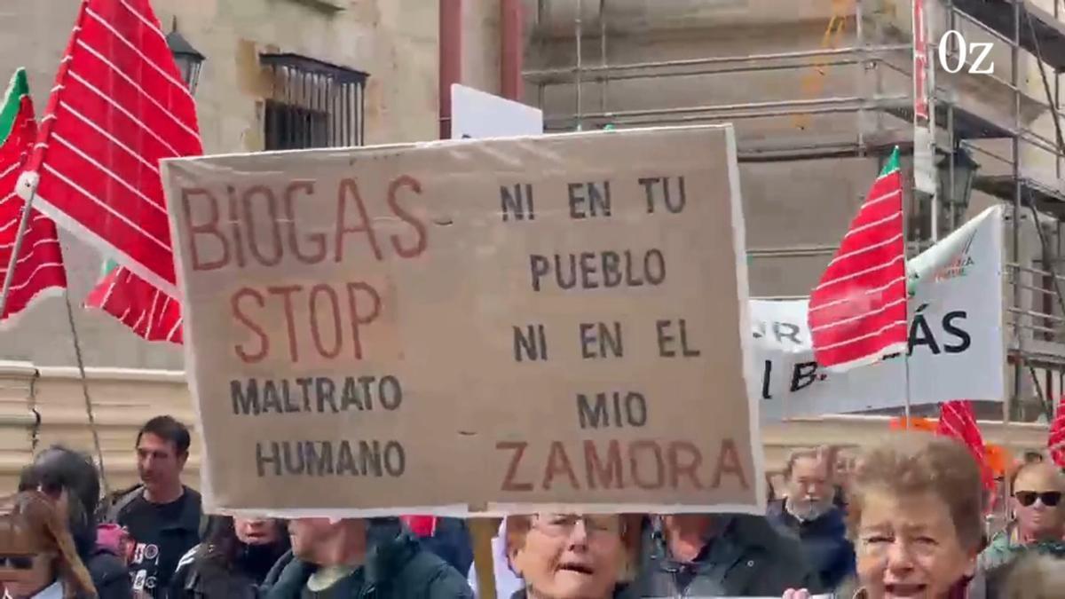 Coreses lleva su protesta contra el biogás al centro de Zamora