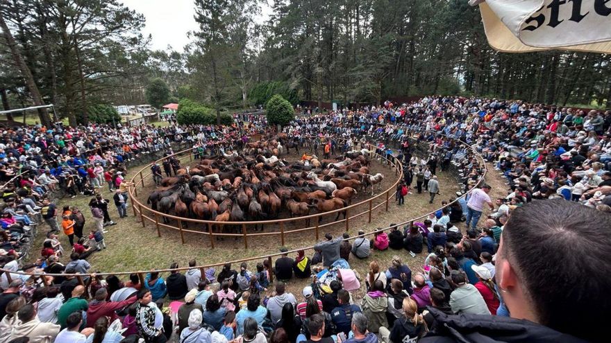 Curro de Amil, repleto de bestas y público. | FdV