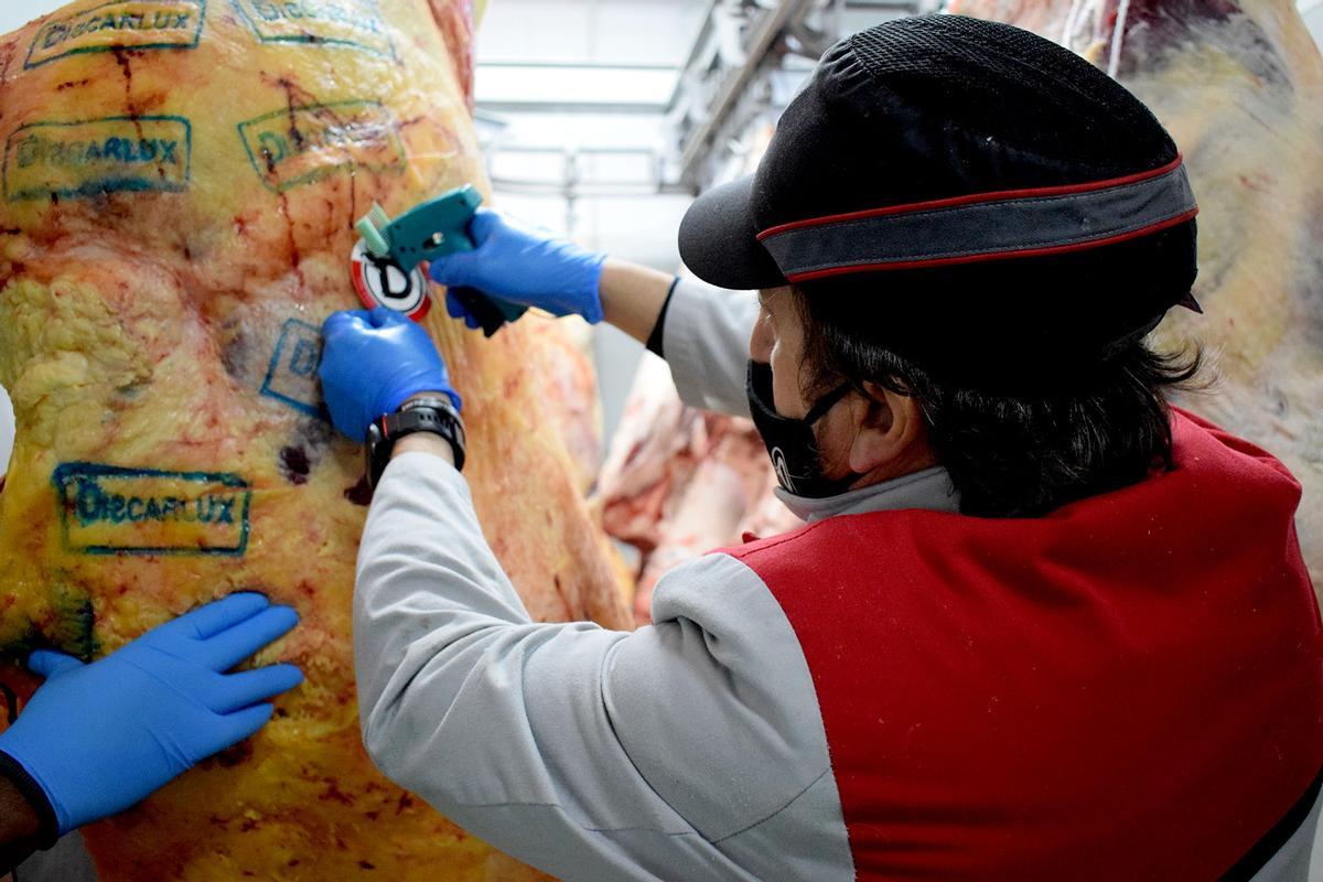 Un operario de Discarlux, con la canal del animal en las cámaras de la empresa en Madrid.