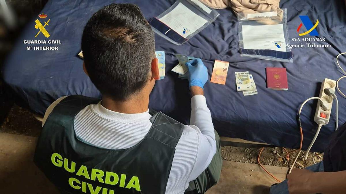 Desmantelan una finca de marihuana en el sur de Tenerife
