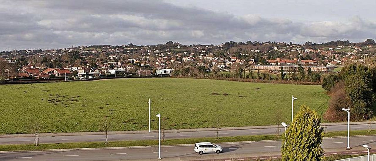 Parte de los terrenos de la ampliación del Parque Científico y Tecnológico de Gijón.