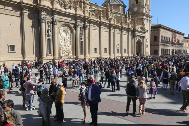 Poco a poco el manto de flores se va tejiendo en 2021