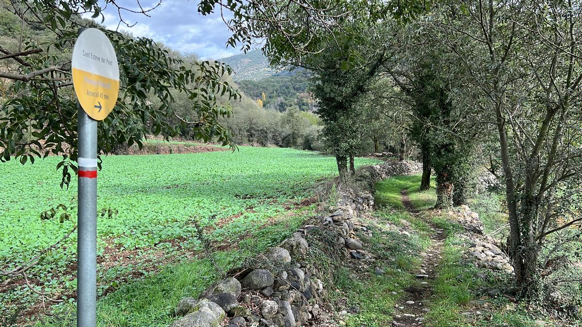 Un dels senders que formen part del projecte entre l&#039;Alt Urgell i Andorra