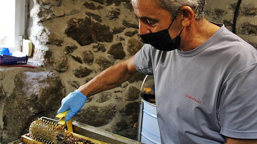 Arriba, Javier Díez en el colmenar de Cárvovas, vacío tras su traslado. Abajo, sacando la miel. | | A. S. Arriba, Javier Díez en el colmenar de Cárvovas, vacío tras su traslado. Abajo, sacando la miel. | | A. S.