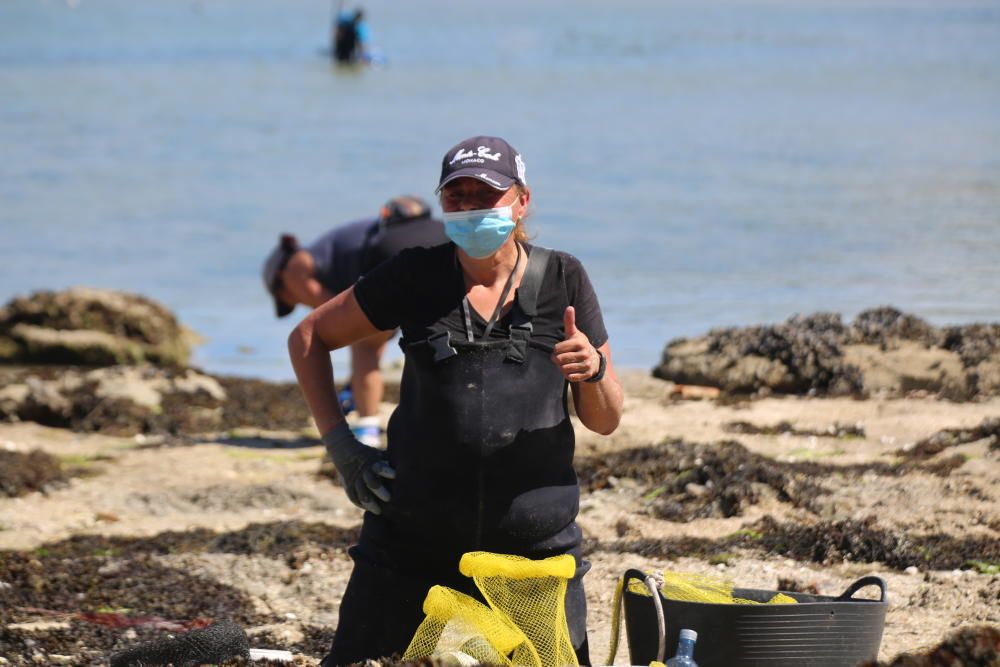 Intensa actividad en la ría