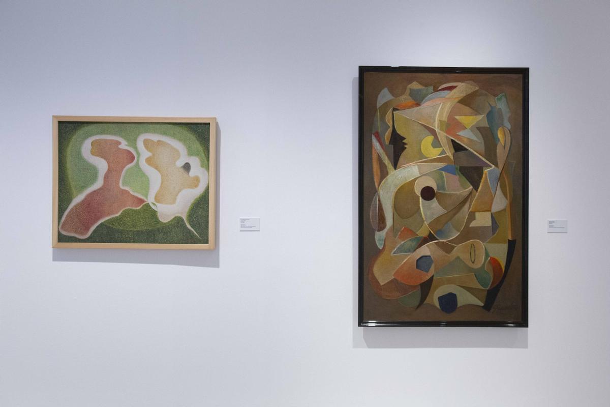 Exposición "Arte en una tierra baldía" en el MACA, con fondos del IVAM