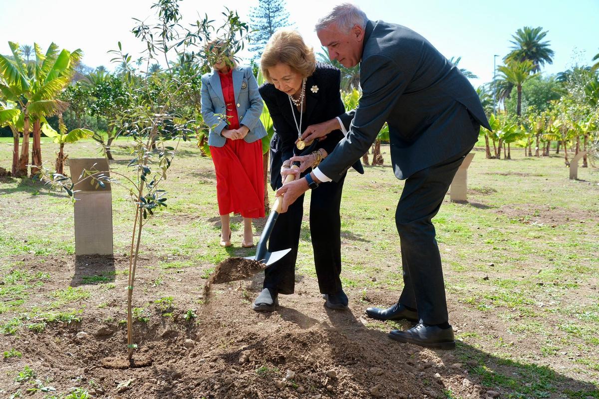 La Reina Sofía planta junto al rector un acebuche en el Bosque de la Ciencia de la ULPGC, en el campus de Tafira,  como gesto simbólico.