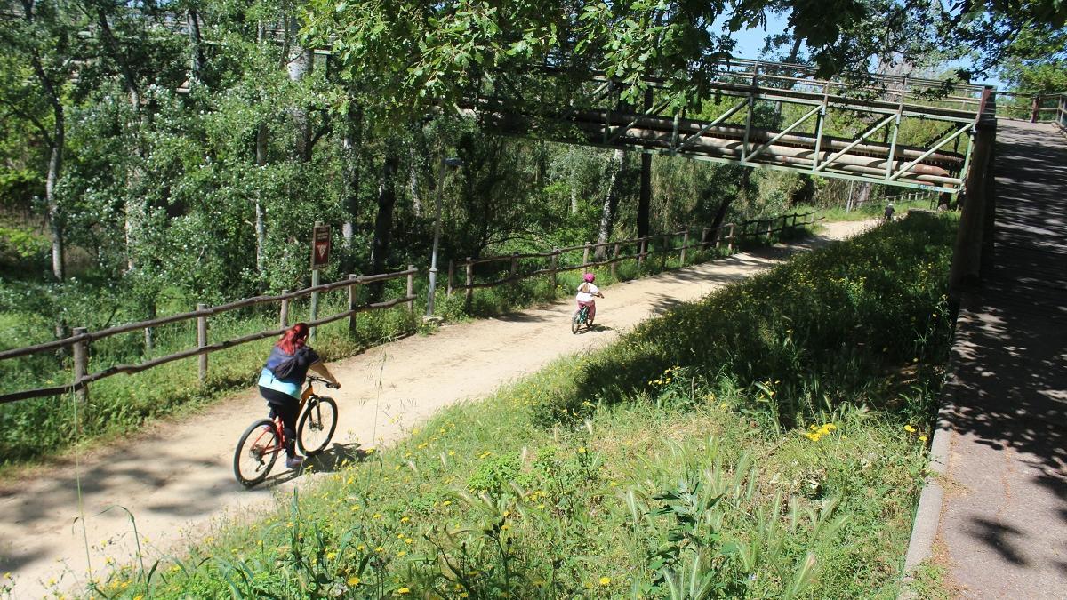 El Camí Natural de la Muga en el tram comprès entre Empuriabrava i Castelló d'Empúries.