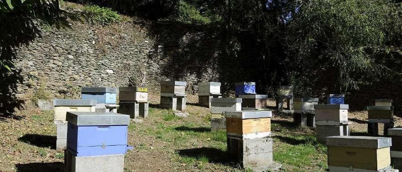 Colmenas de Mel do Saldoiro, en la localidad lalinense de Albarellos. // Bernabé/Javier Lalín