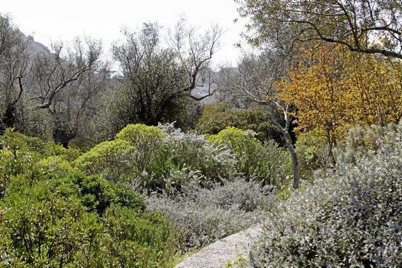 Einer der schönsten Winkel der Insel - das Tal und der Garten von Ariant - kann wieder bei geführten Rundgängen erkundet werden.