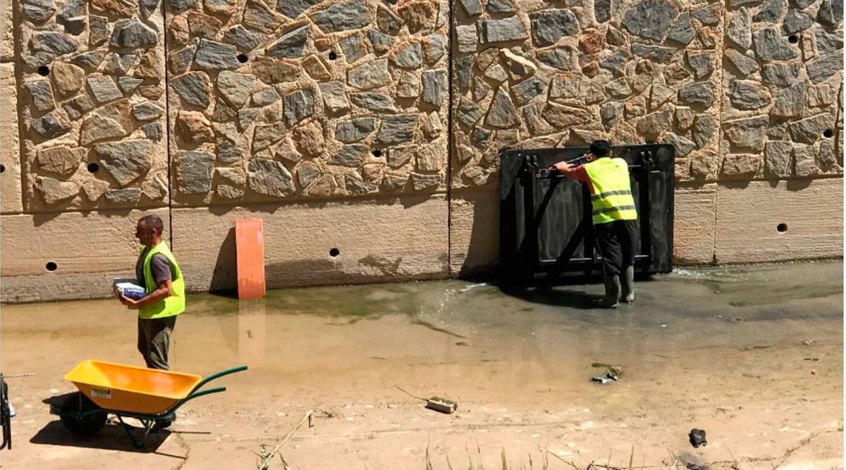 Actuaciones en el río entre Orihuela y Rojales.