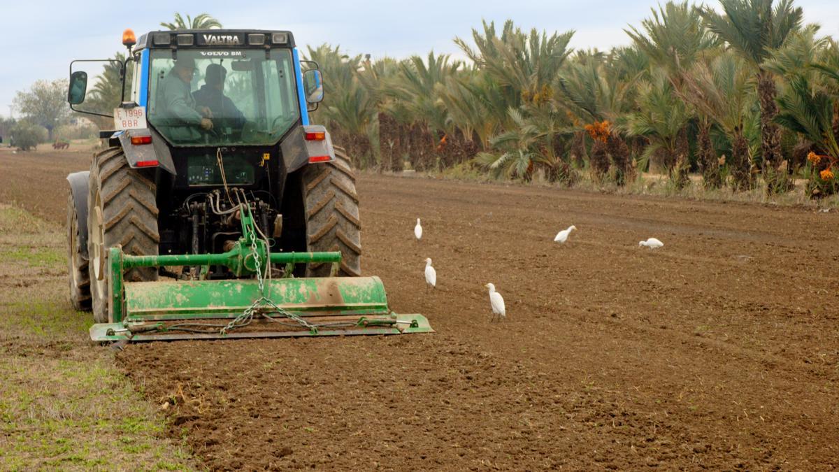 Tractor en un campo valenciano