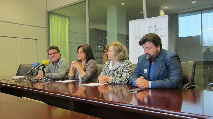 El Consejo Económico y Social de Extremadura pide al Gobierno de España un ferrocarril &quot;moderno, eficaz y sostenible&quot;