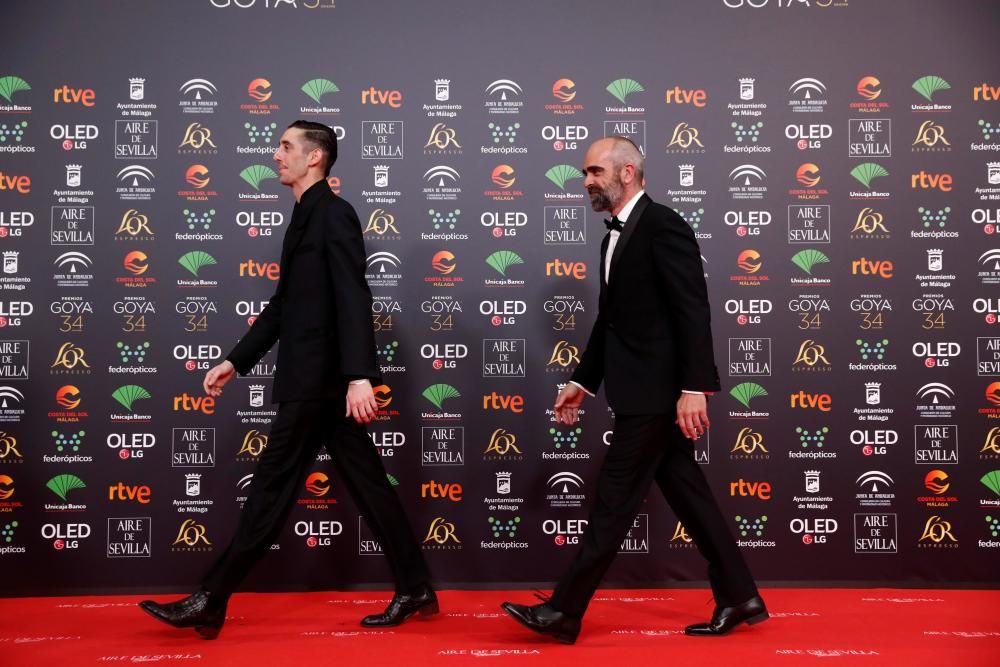 Alfombra roja de los Premios Goya 2020.