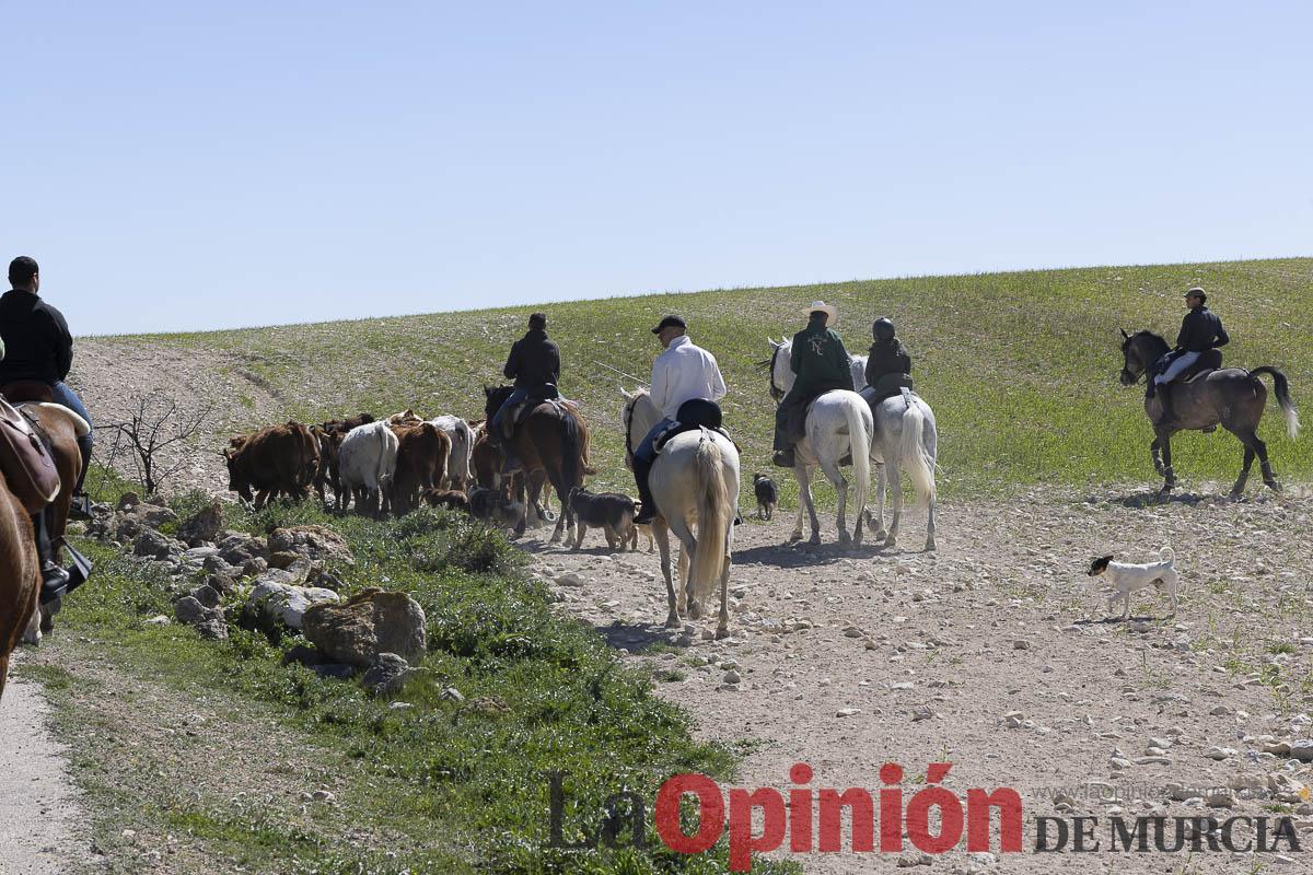 trashumancia/Ganadería La Junquera_015