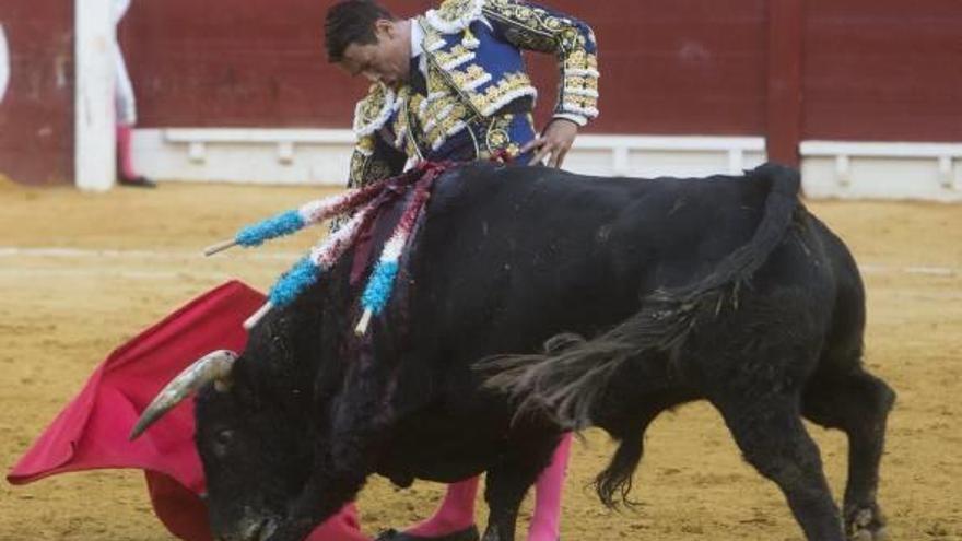 El efecto balsámico Manzanares