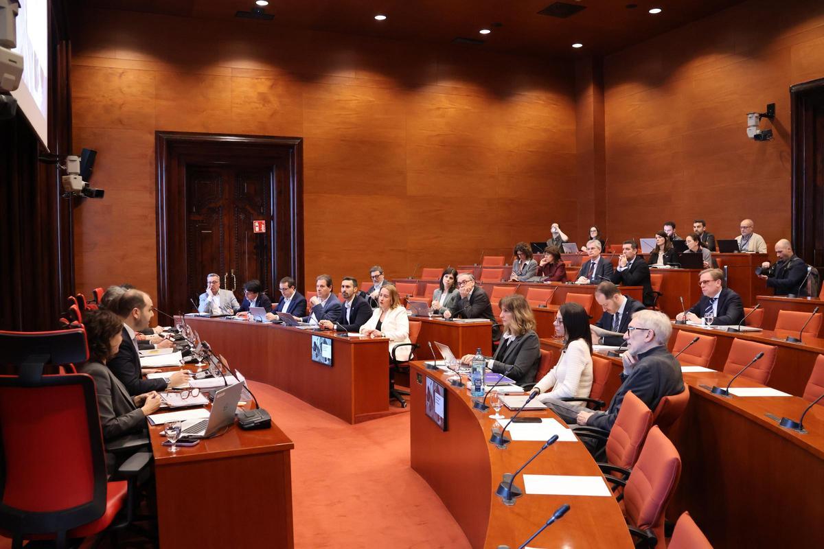 Imagen de la comisión de asuntos institucionales del Parlament este lunes.