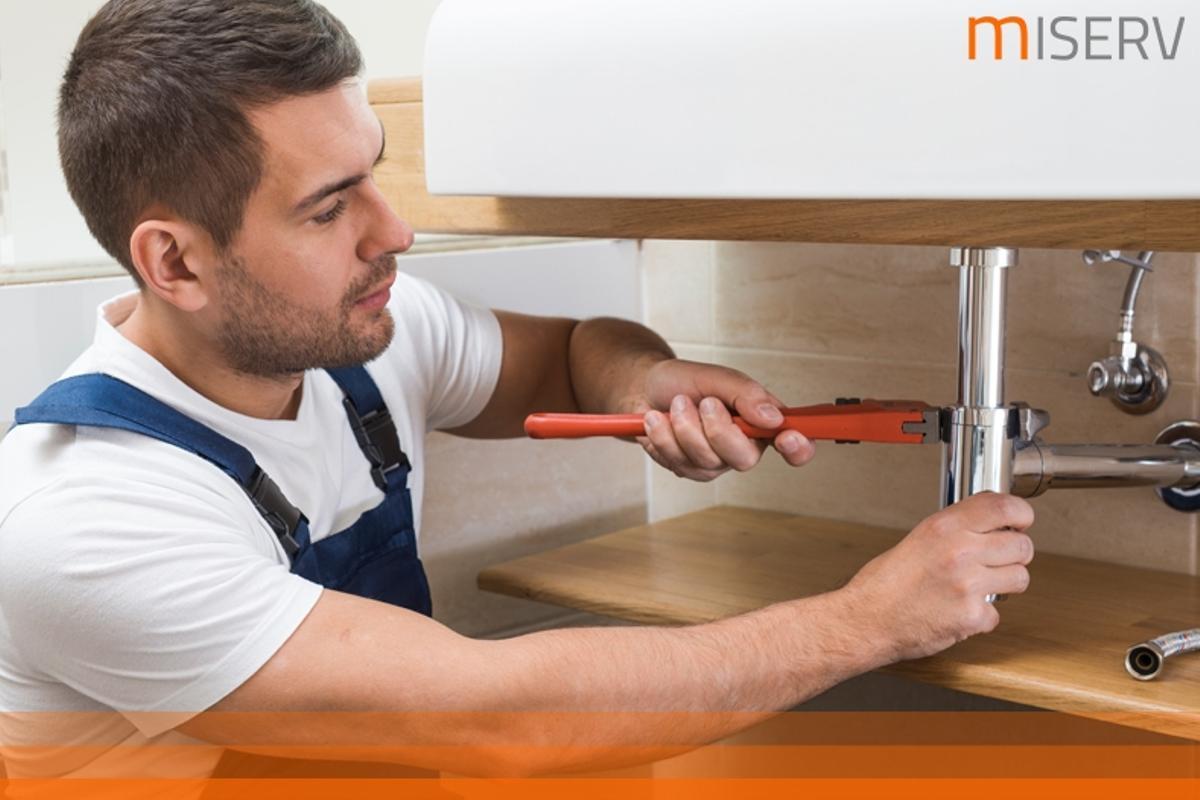 4 consejos imprescindibles para el control de plagas