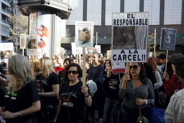 Clamor contra el maltrato animal