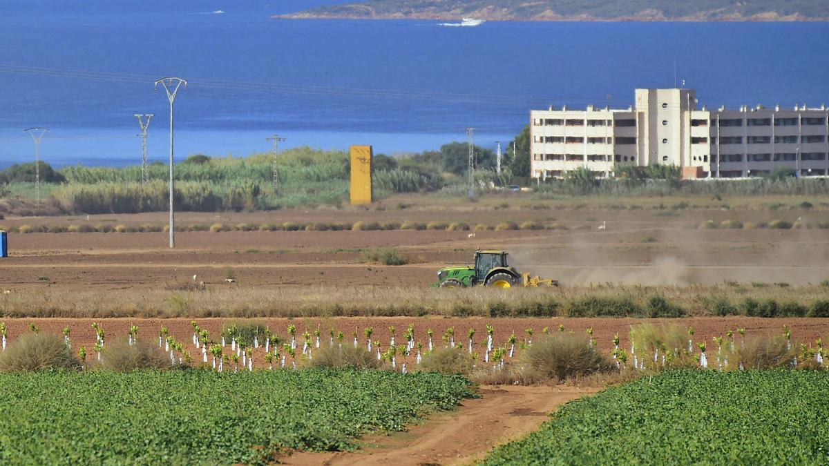 Un tractor labra la tierra,
ayer, en una parcela agrícola
frente al Mar Menor.  iván urquízar