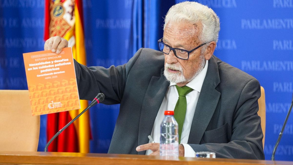 El Defensor del Pueblo Andaluz, Jesús Maeztu, durante la rueda de prensa en el Parlamento de Andalucía.