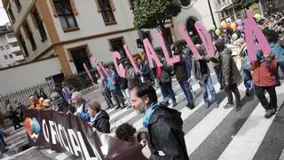 La manifestación por la oficialidad del asturiano toma las calles de Oviedo