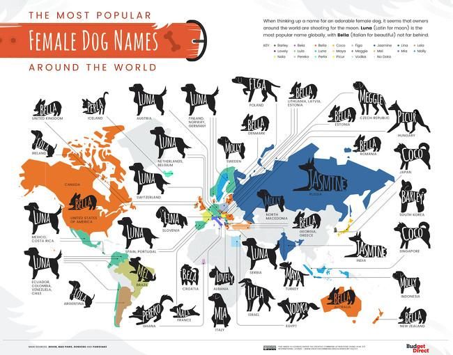 Los nombres de hembras más populares en cada país.