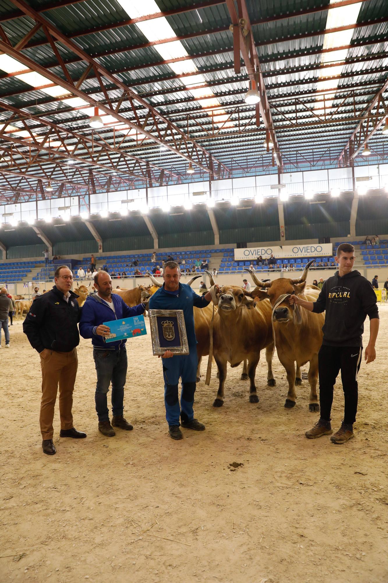 El gran cierre de La Ascensión: así fue la última jornada festiva en la feria del campo en Oviedo