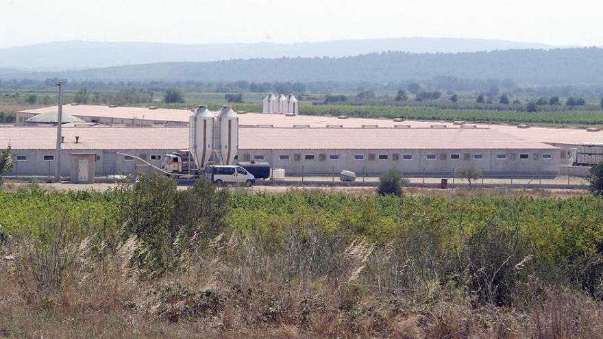 La macro-granja de Rabós d&#039;Empordà en una imatge d&#039;arxiu