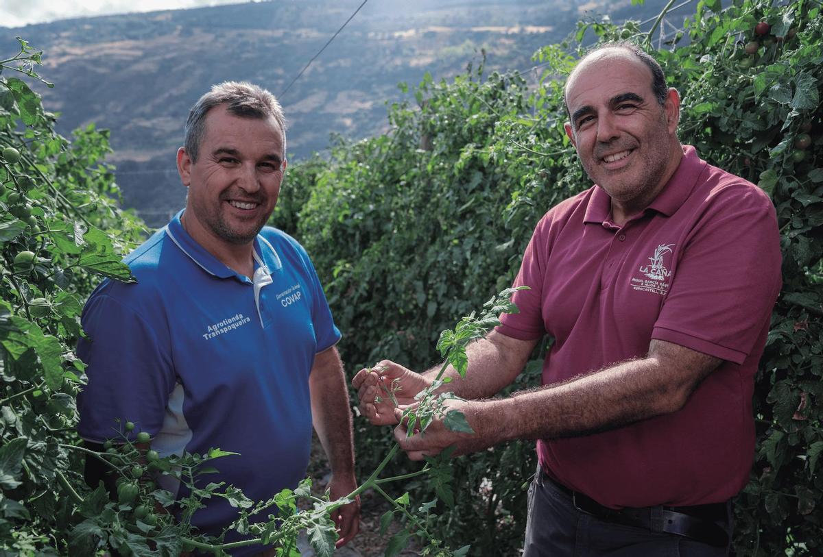 El agricultor Antonio Tovar y el técnico agrícola Domingo Moyano, que forman parte de la amplia comunidad de propietarios y profesionales vinculados a la producción y comercialización liderada por Grupo La Caña.