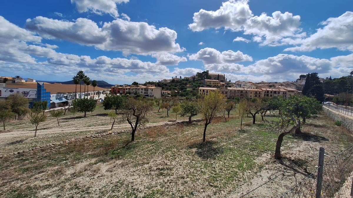 Imagen de los solares donde se proyecta la futura escuela de Selva.