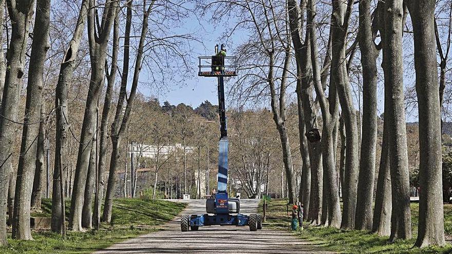 Una màquina amb un elevador entre els arbres.