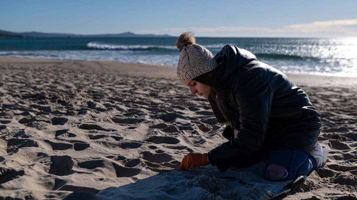 Contaminación marina por el vertido de pellets en la costa gallega