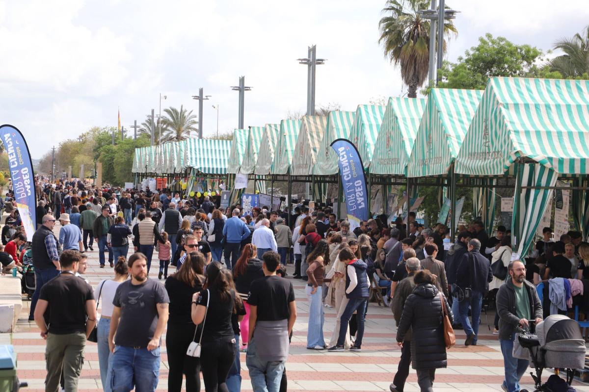 Córdoba XIX edición de Paseo por la ciencia en el vial norte
