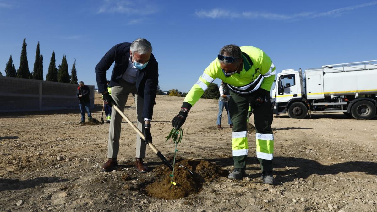 Plantación del primer almendro del Bosque de los Zaragozanos.