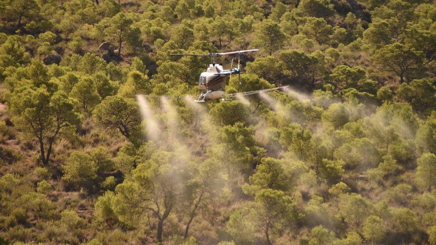 Fumigación aérea para combatir a la procesionaria del pino en la Región