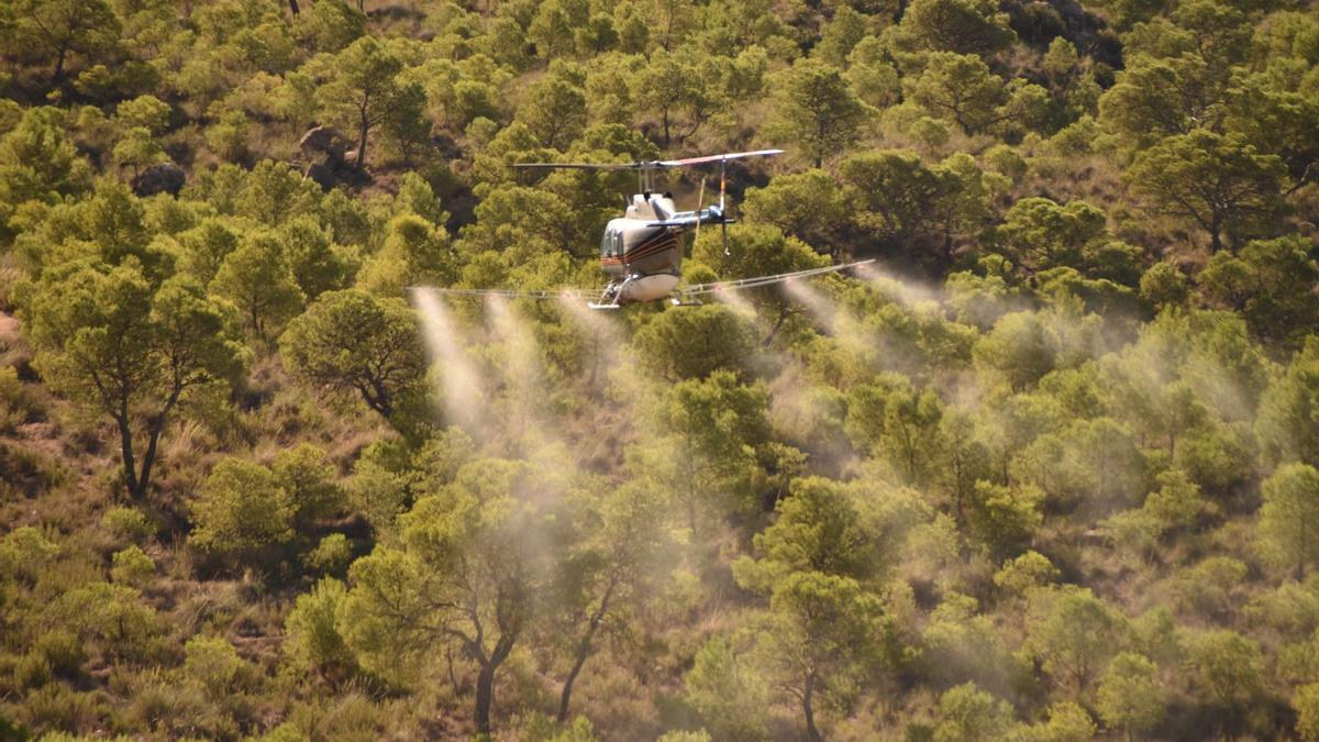 Tratatamiento aéreo contra la procesionaria del pino.