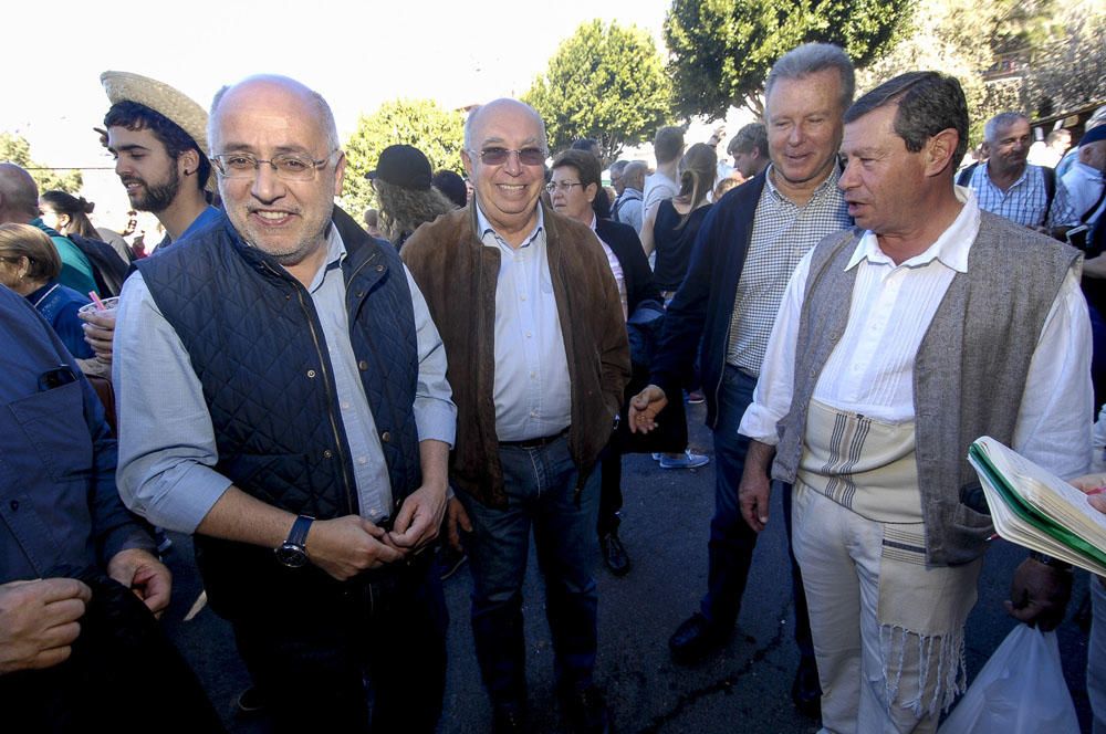 Fiestas del Almendro en Flor en Tejeda