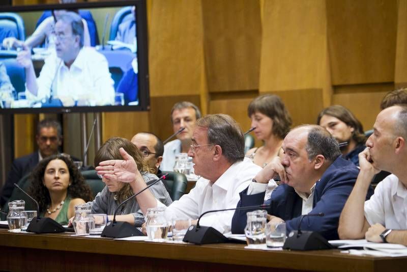 Fotogalería del pleno municipal sobre el cambio de nombre del pabellón Príncipe Felipe