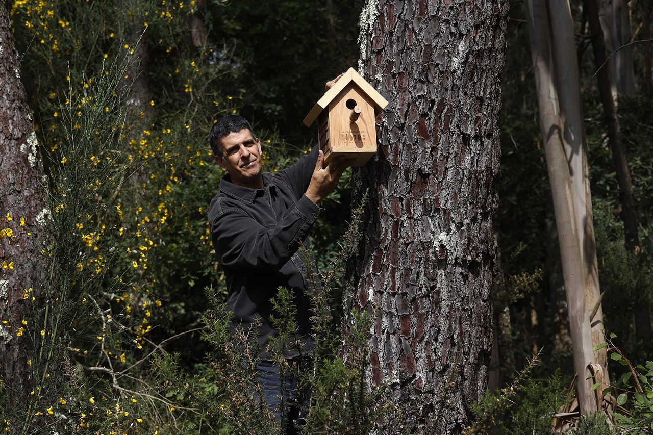 Luis Portabales en su refugio creativo rodeado de bosque con una de las casas-nido que elabora (3).jpg