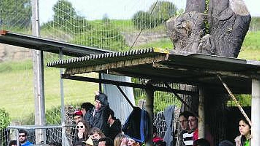 La hinchada del Puerto de Vega, ayer, en el campo del Trasona.