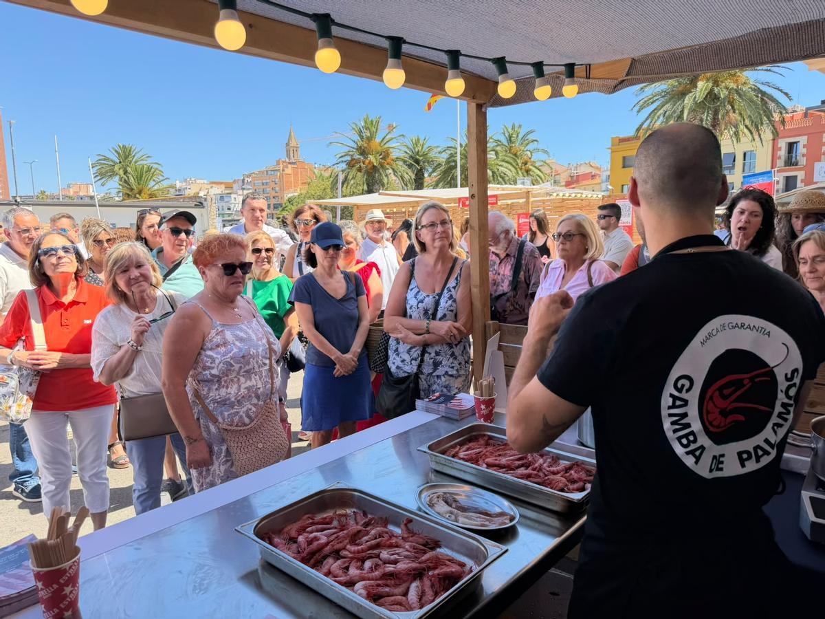 Les imatges de la Fira de la Gamba de Palamós Les imatges de la Fira de la Gamba de Palamós