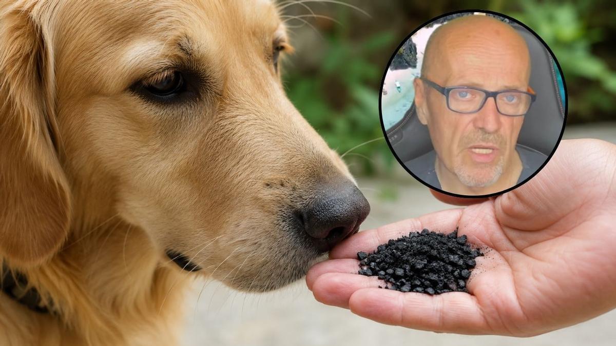 El carbón activado puede salvarle la vida a tu perro, según el veterinario Manel Manzano