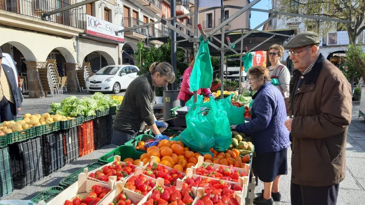 El mercado de frutas de Plasencia tendrá un cierre vallado y control de aforo