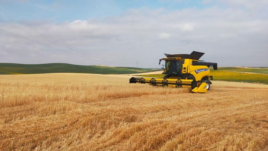 Una cosechadora recolecta cereal en una finca de la provincia de Córdoba.