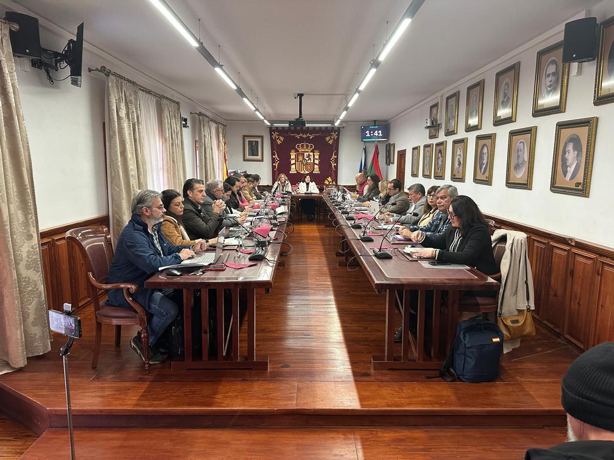 Un momento del pleno de Tacoronte.