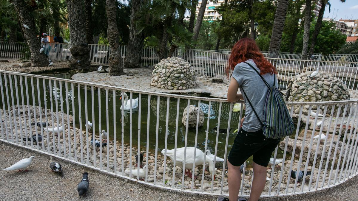 El estanque de los patos del Parque Municipal de Elche