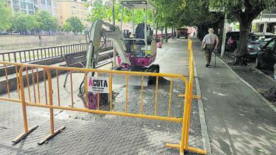 Treballs a la vorera del passeig General Mendoza. | TAPI CARRERAS