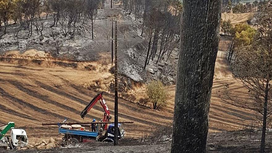 La companyia repara la línia cremada per l’incendi a Bellprat | ENDESA